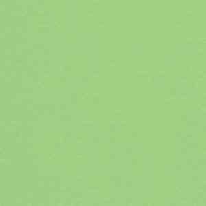 Линолеум MURAL ULTRA 4525 Lime фото ##numphoto## | FLOORDEALER
